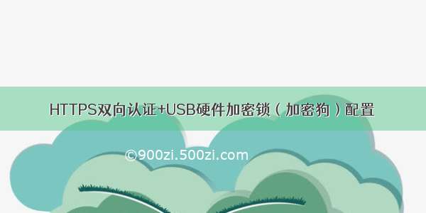 HTTPS双向认证+USB硬件加密锁（加密狗）配置