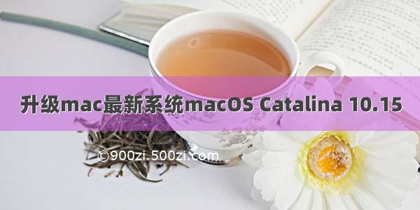 升级mac最新系统macOS Catalina 10.15