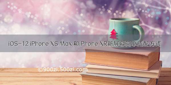 iOS-12 iPhone XS Max 和iPhone XR新屏幕简单适配方式