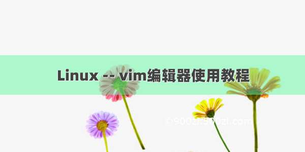 Linux -- vim编辑器使用教程