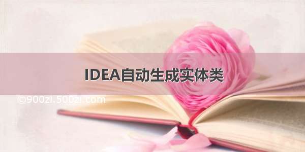 IDEA自动生成实体类