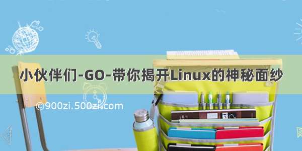 小伙伴们-GO-带你揭开Linux的神秘面纱