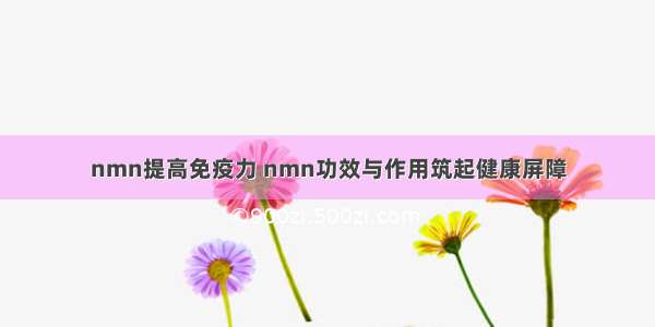 nmn提高免疫力 nmn功效与作用筑起健康屏障