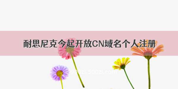 耐思尼克今起开放CN域名个人注册