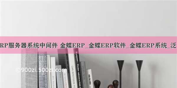 金蝶ERP服务器系统中间件 金蝶ERP_金蝶ERP软件_金蝶ERP系统_泛普软件