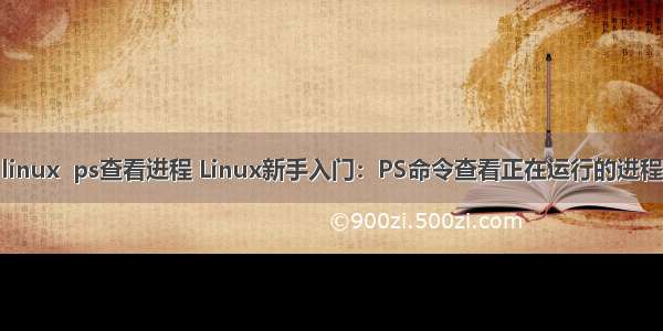 linux  ps查看进程 Linux新手入门：PS命令查看正在运行的进程