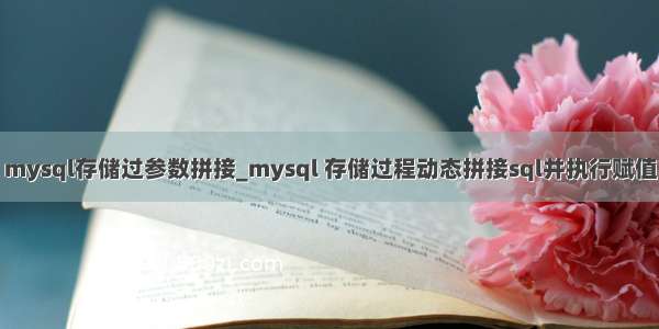 mysql存储过参数拼接_mysql 存储过程动态拼接sql并执行赋值