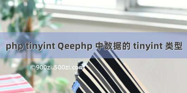 php tinyint Qeephp 中数据的 tinyint 类型