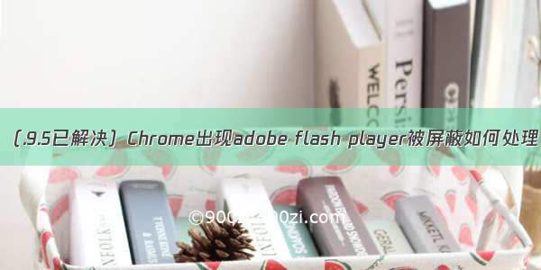 （.9.5已解决）Chrome出现adobe flash player被屏蔽如何处理