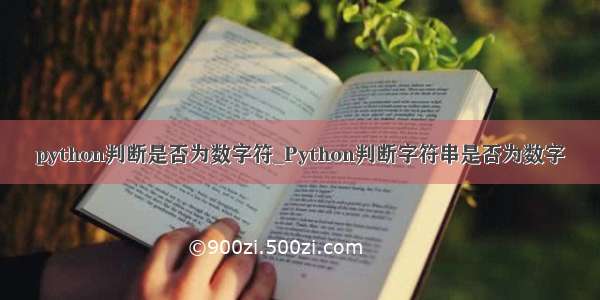 python判断是否为数字符_Python判断字符串是否为数字