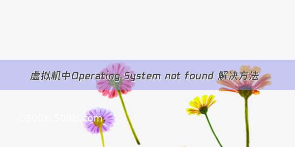 虚拟机中Operating System not found 解决方法