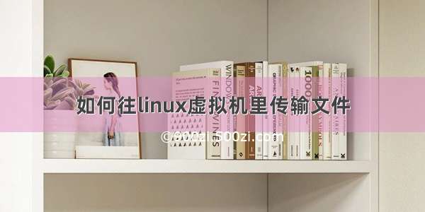 如何往linux虚拟机里传输文件