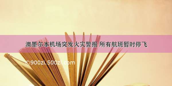 澳墨尔本机场突发火灾警报 所有航班暂时停飞