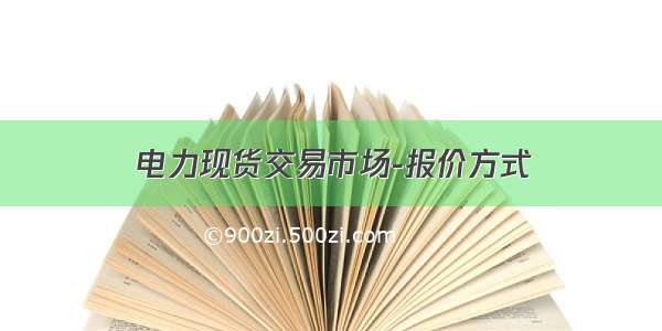 电力现货交易市场-报价方式