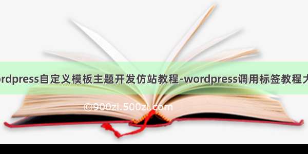 wordpress自定义模板主题开发仿站教程-wordpress调用标签教程大全