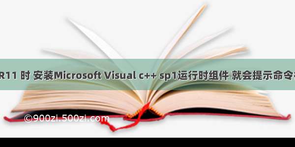 安装LR11 时 安装Microsoft Visual c++ sp1运行时组件 就会提示命令行选项