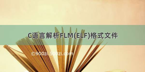 C语言解析FLM(ELF)格式文件