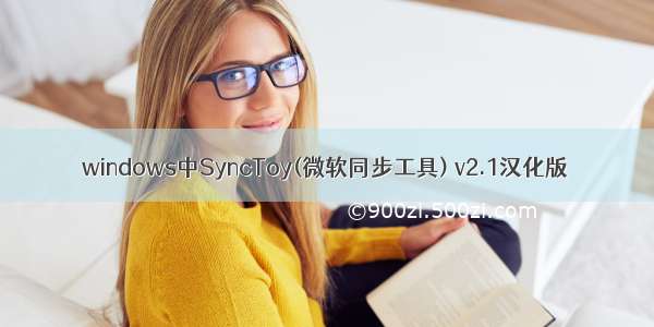 windows中SyncToy(微软同步工具) v2.1汉化版
