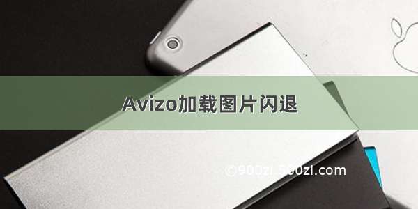 Avizo加载图片闪退