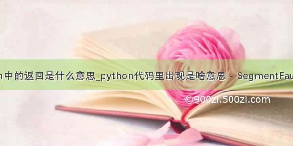 python中的返回是什么意思_python代码里出现是啥意思 - SegmentFault 思否