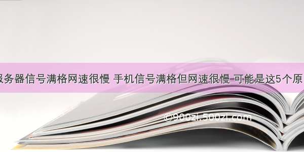 服务器信号满格网速很慢 手机信号满格但网速很慢 可能是这5个原因