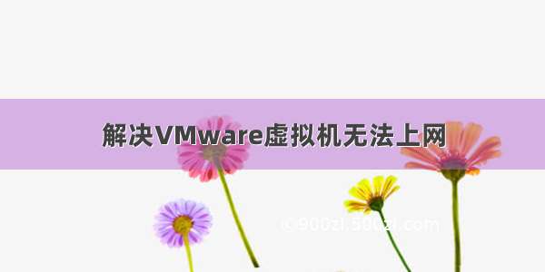 解决VMware虚拟机无法上网