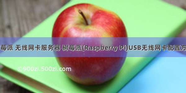 树莓派 无线网卡服务器 树莓派(Raspberry Pi)USB无线网卡配置方法