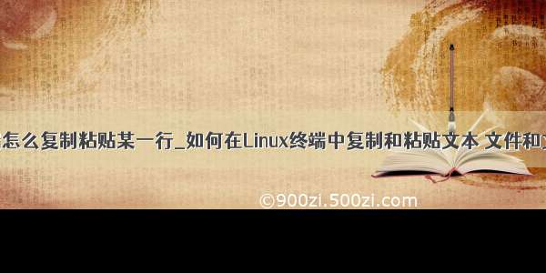 linux终端怎么复制粘贴某一行_如何在Linux终端中复制和粘贴文本 文件和文件夹...