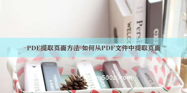 PDF提取页面方法 如何从PDF文件中提取页面