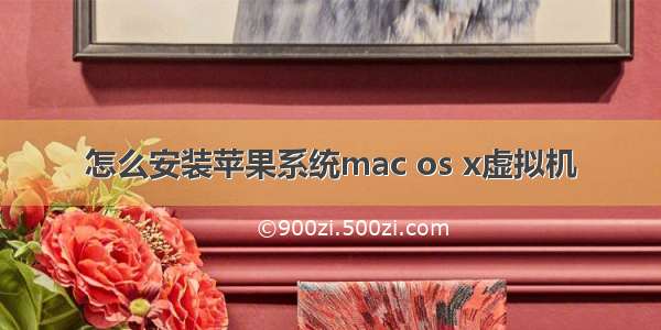 怎么安装苹果系统mac os x虚拟机