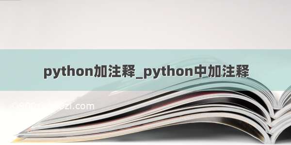 python加注释_python中加注释