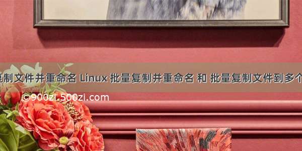 linux下复制文件并重命名 Linux 批量复制并重命名 和 批量复制文件到多个文件夹...