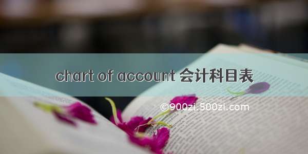 chart of account 会计科目表