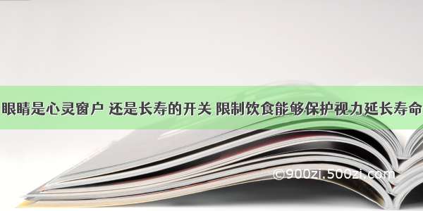 眼睛是心灵窗户 还是长寿的开关 限制饮食能够保护视力延长寿命