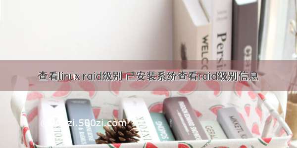 查看linux raid级别 已安装系统查看raid级别信息