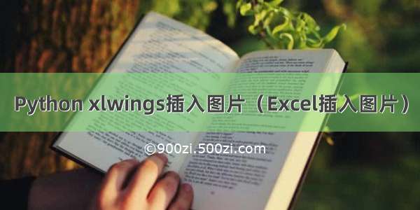 Python xlwings插入图片（Excel插入图片）