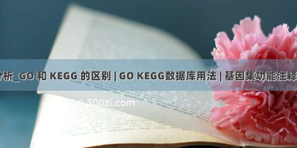 go分析和kegg分析_GO 和 KEGG 的区别 | GO KEGG数据库用法 | 基因集功能注释 | 代谢通路富集...