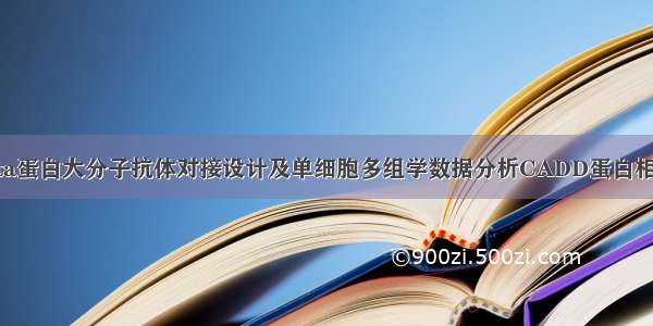 Rosetta蛋白大分子抗体对接设计及单细胞多组学数据分析CADD蛋白相互作用