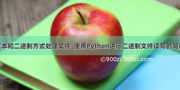 python能以文本和二进制方式处理文件_使用Python进行二进制文件读写的简单方法(推荐)...