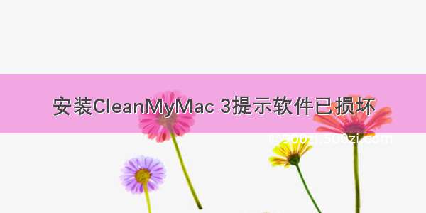 安装CleanMyMac 3提示软件已损坏