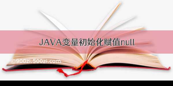 JAVA变量初始化赋值null