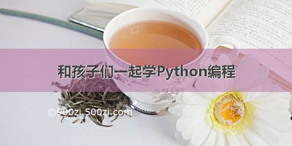 和孩子们一起学Python编程