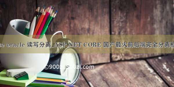 hibernate oracle 读写分离_ASP.NET CORE 国产最火前后端完全分离框架BCVP