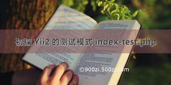 初探 Yii2 的测试模式 index-test.php