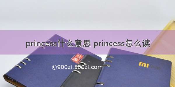 princess什么意思 princess怎么读