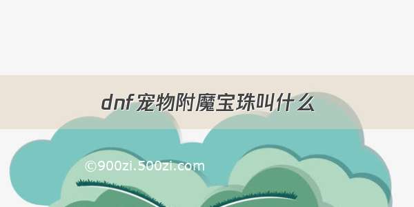 dnf宠物附魔宝珠叫什么