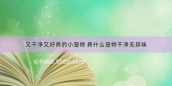 又干净又好养的小宠物 养什么宠物干净无异味