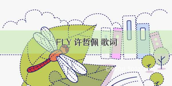 FLY 许哲佩 歌词