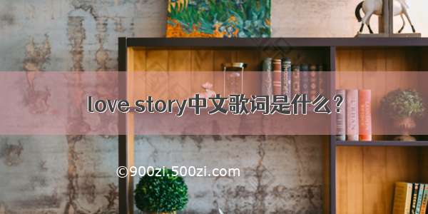 love story中文歌词是什么？