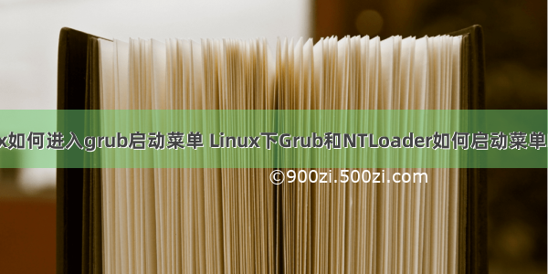 linux如何进入grub启动菜单 Linux下Grub和NTLoader如何启动菜单DIY？
